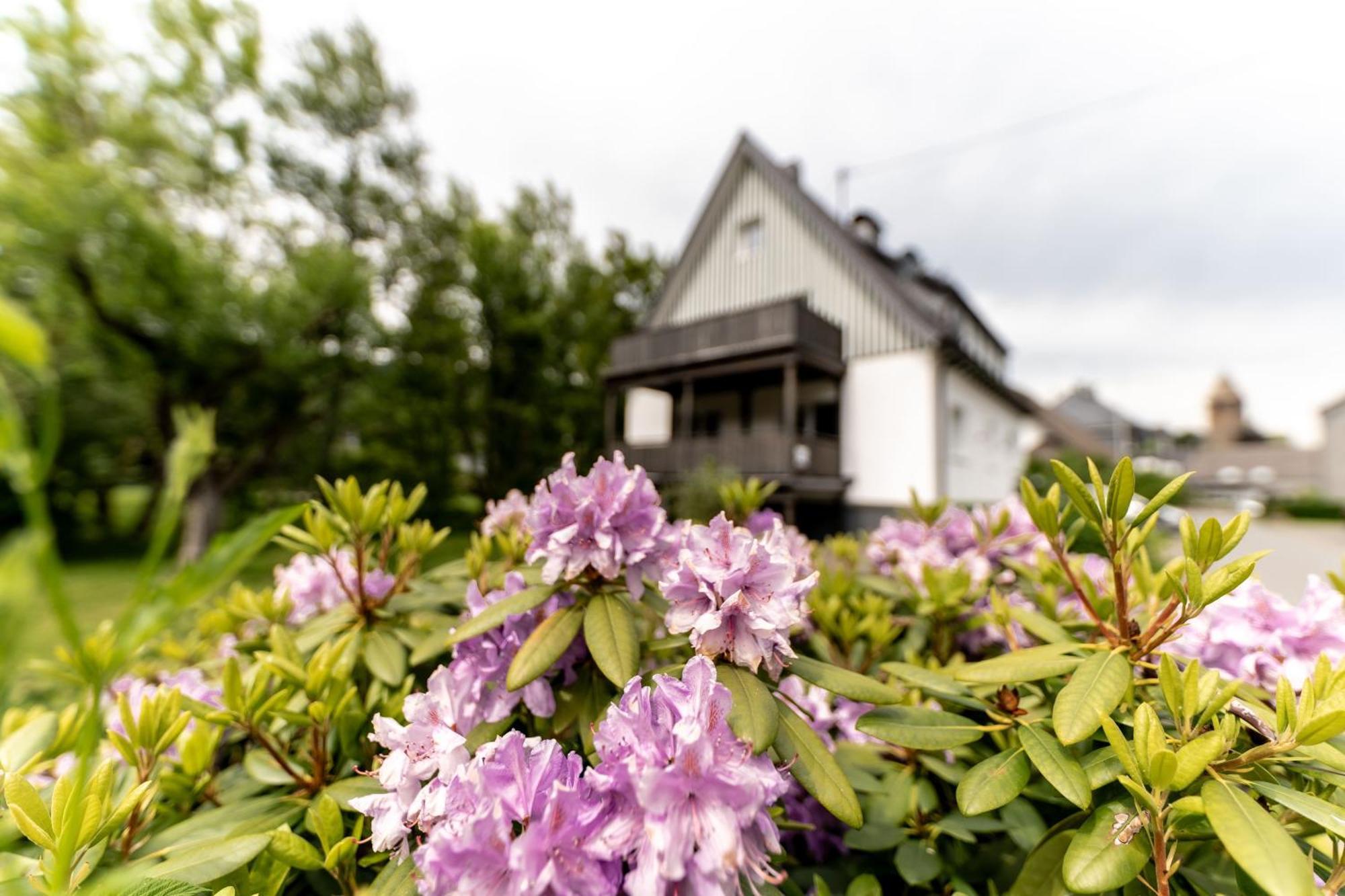 Ferienwohnung Haus An Der Lenne Леннештадт Екстер'єр фото